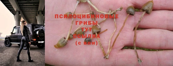 трава Абаза