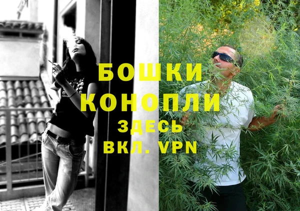 трава Абаза