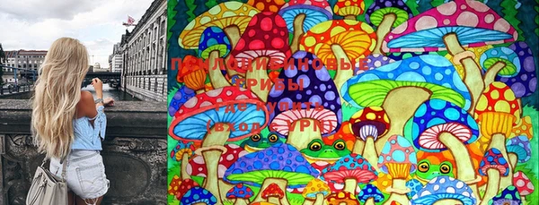 трава Абаза