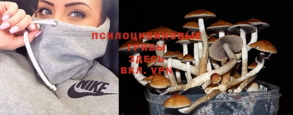 не бодяженный Абдулино