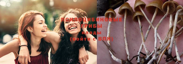 трава Абаза