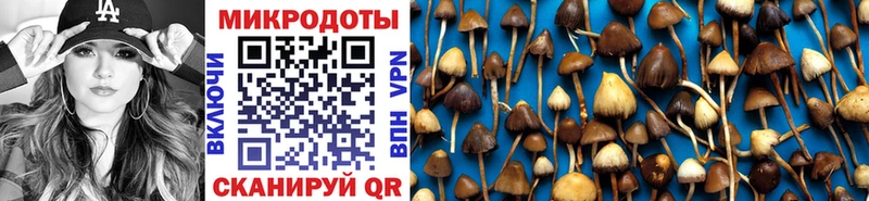 блэк спрут зеркало  Касимов  Галлюциногенные грибы Cubensis 