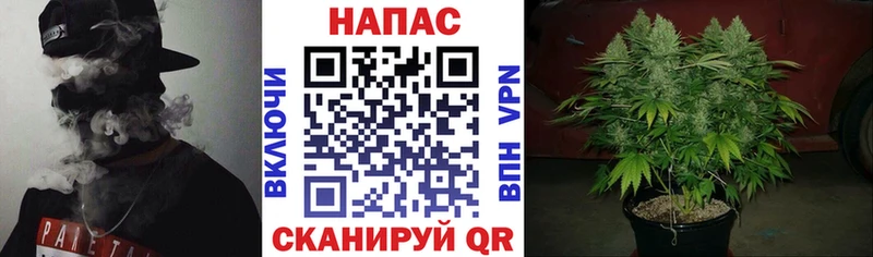 Каннабис ГИДРОПОН Касимов